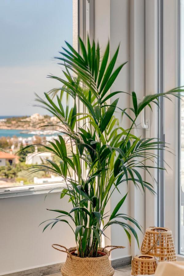 Villa Mare Syros Finikas  Buitenkant foto